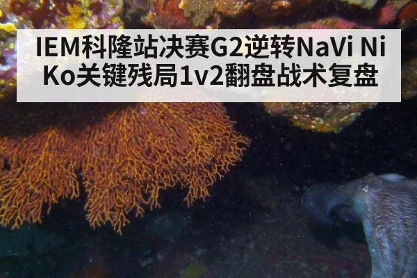IEM科隆站决赛G2逆转NaVi NiKo关键残局1v2翻盘战术复盘