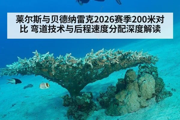 莱尔斯与贝德纳雷克2026赛季200米对比 弯道技术与后程速度分配深度解读